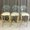 Acrylic Bar Stool
