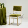 White Frame Velvet Chair