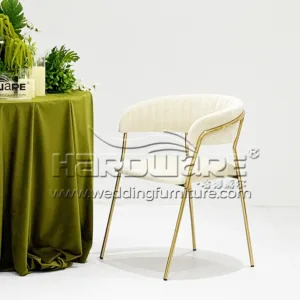 Modern Dining Room Chairs