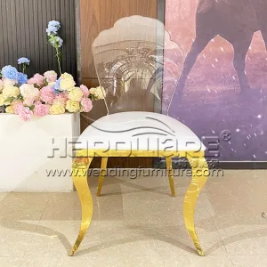 Carved Acrylic Back Stainless Steel Dining Chair