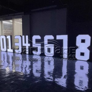 LED Number Letter