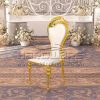 Stainless Steel Chair