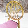 Fancy dining chair