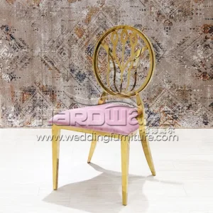 Fancy Dining Chair