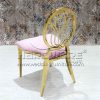 Fancy dining chair