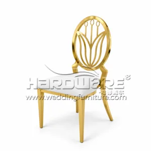 Fancy Dining Chair