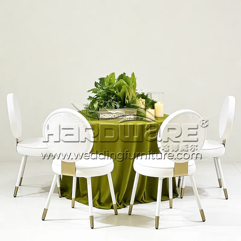 Circle Back Dining Chair